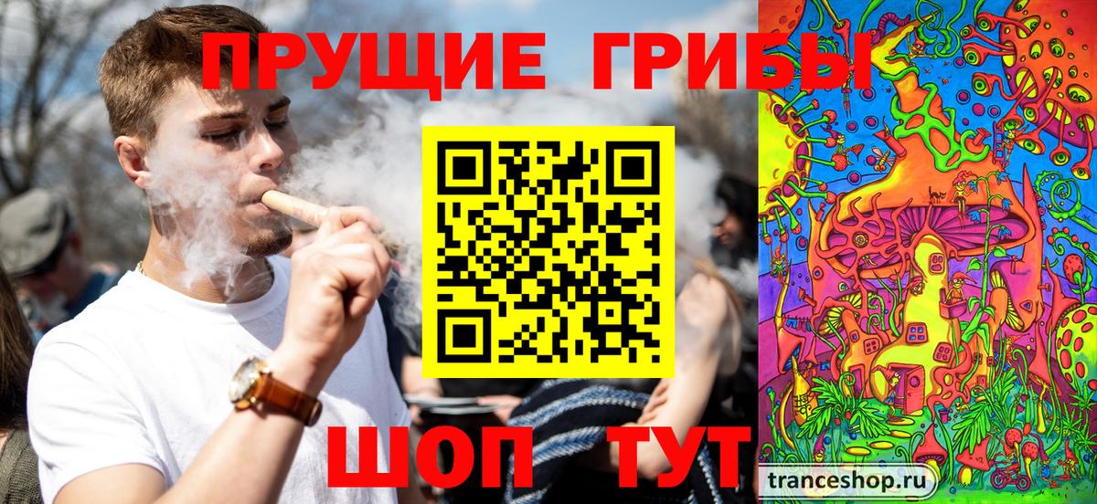 Псилоцибиновые грибы Psilocybe Электрогорск